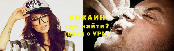 прущие грибы Рославль