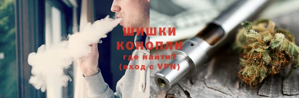 прущие грибы Рославль
