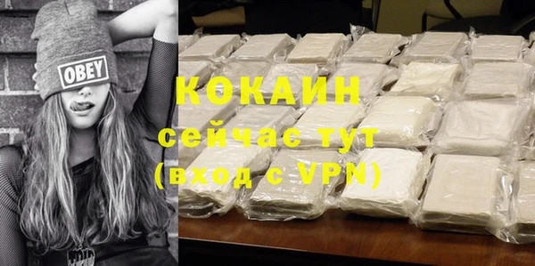 прущие грибы Рославль