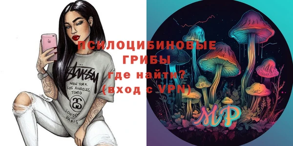 прущие грибы Рославль