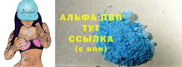 прущие грибы Рославль